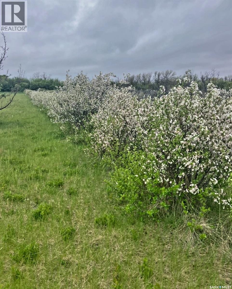 Mcleod Acreage, Miry Creek Rm No. 229, SK - Outdoor With View