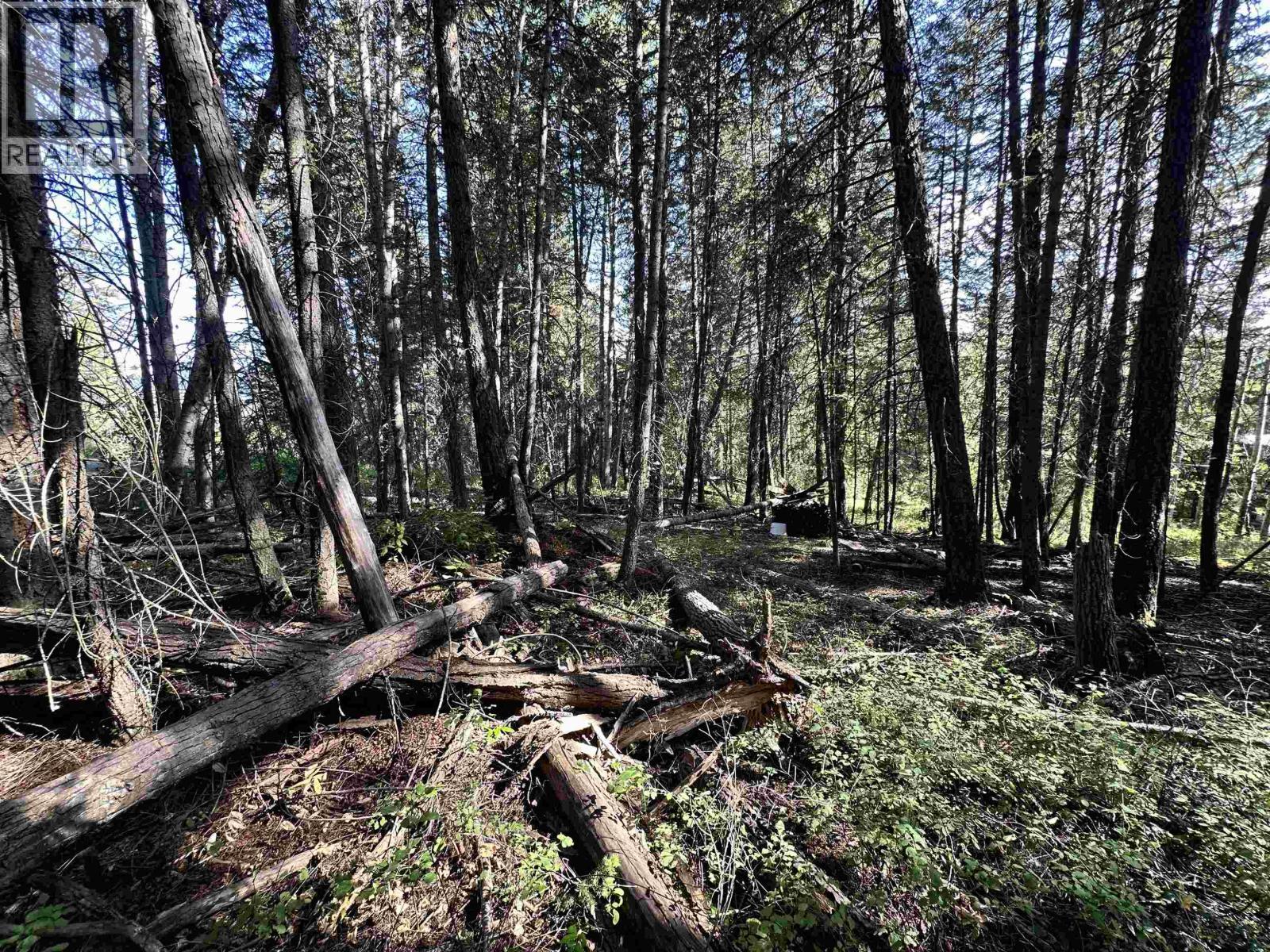 Lot 103 Julsrud Road, Deka Lake / Sulphurous / Hathaway Lakes, BC