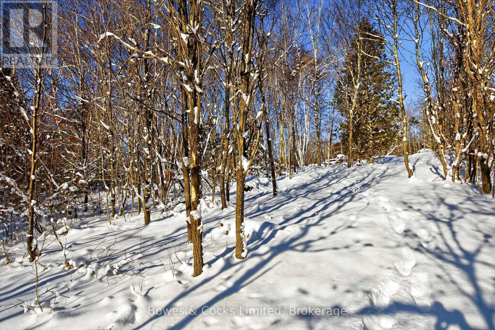 1350 Madill Road, Highlands East (Monmouth), ON - Outdoor With View