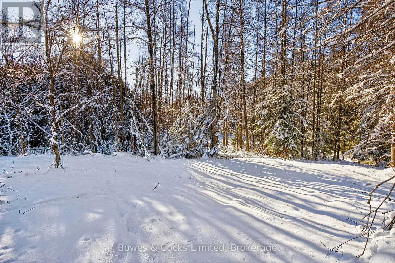 1350 Madill Road, Highlands East (Monmouth), ON - Outdoor With View