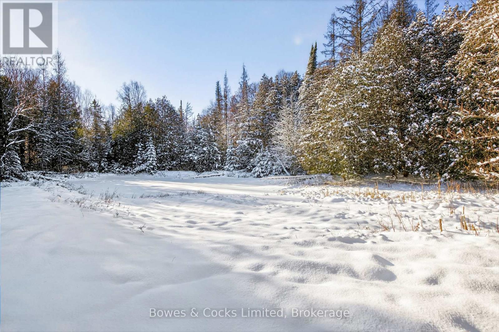 pond - 1350 Madill Road, Highlands East (Monmouth), ON - Outdoor With View