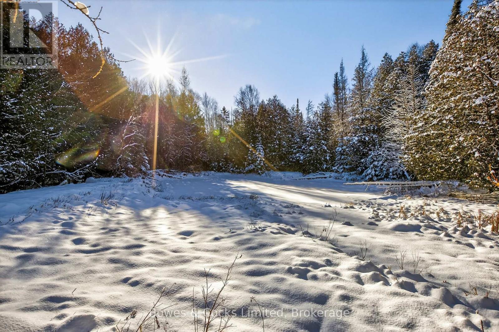 pond - 1350 Madill Road, Highlands East (Monmouth), ON - Outdoor With View