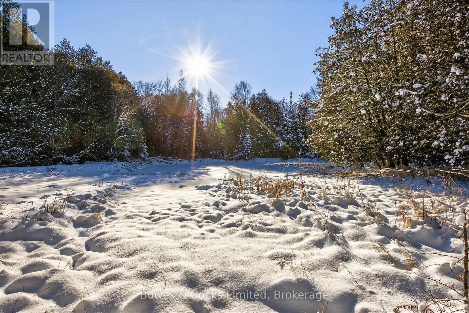1350 Madill Road, Highlands East (Monmouth), ON - Outdoor With View
