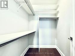 Walk-in Closet (Empty) -