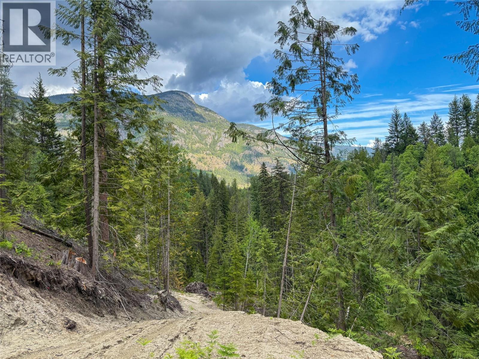 3945 Saunders Road, Passmore, BC