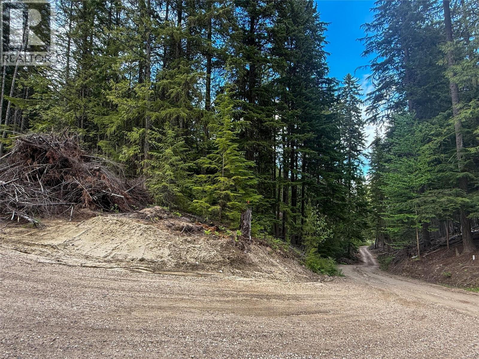 3945 Saunders Road, Passmore, BC