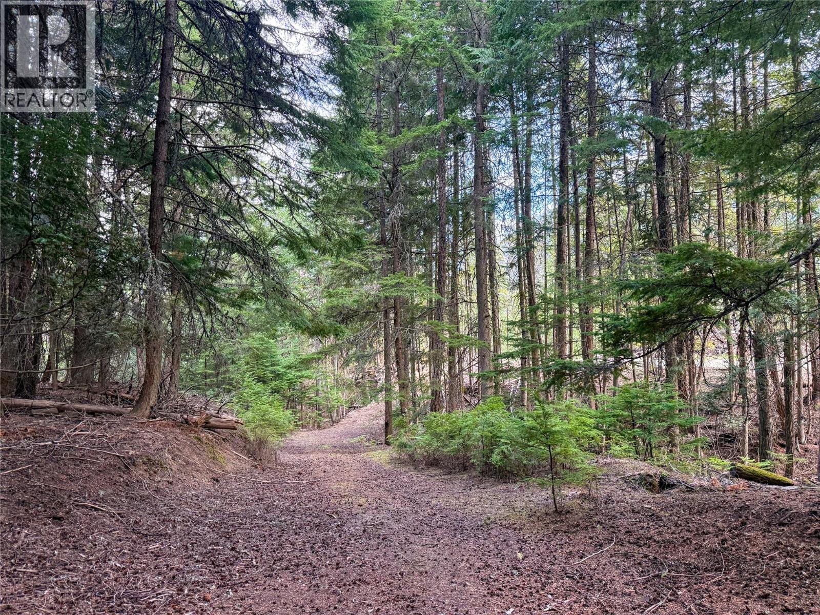 3945 Saunders Road, Passmore, BC