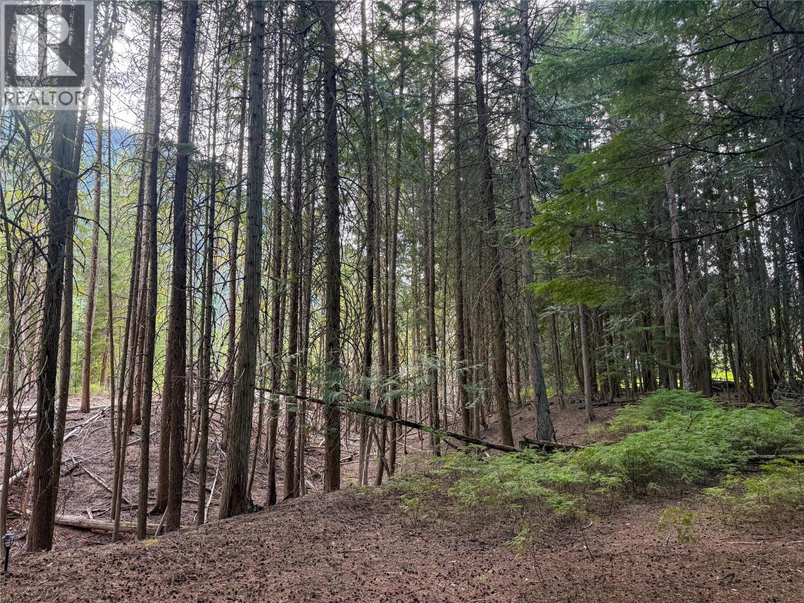 3945 Saunders Road, Passmore, BC