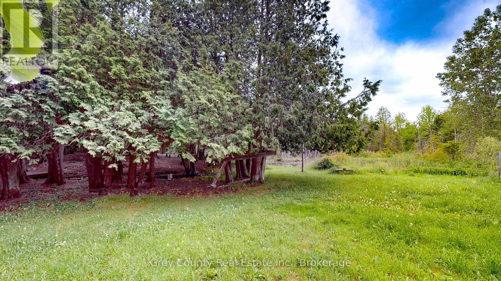 117 Collingwood Street, Grey Highlands, ON - Outdoor