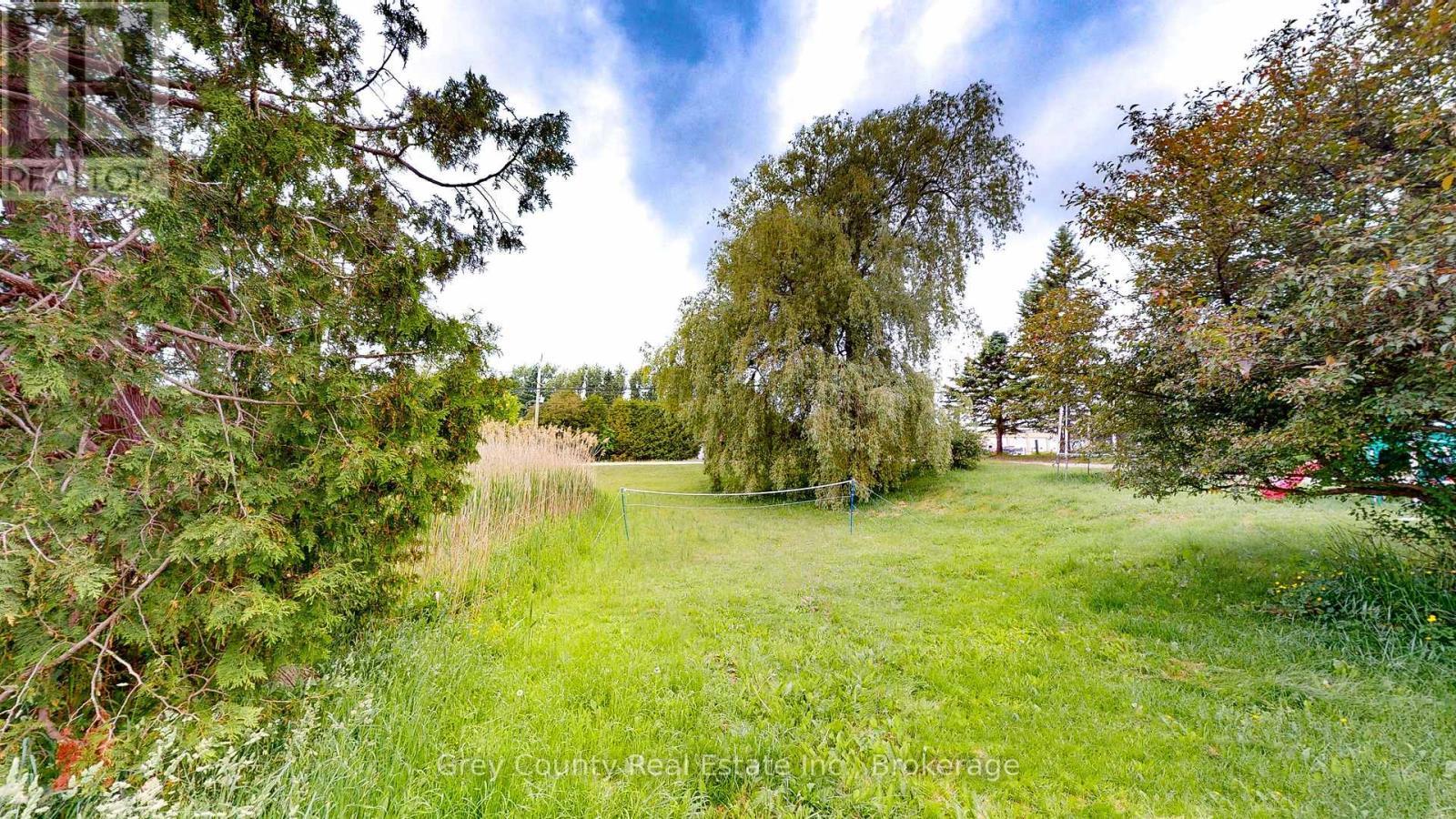 117 Collingwood Street, Grey Highlands, ON - Outdoor