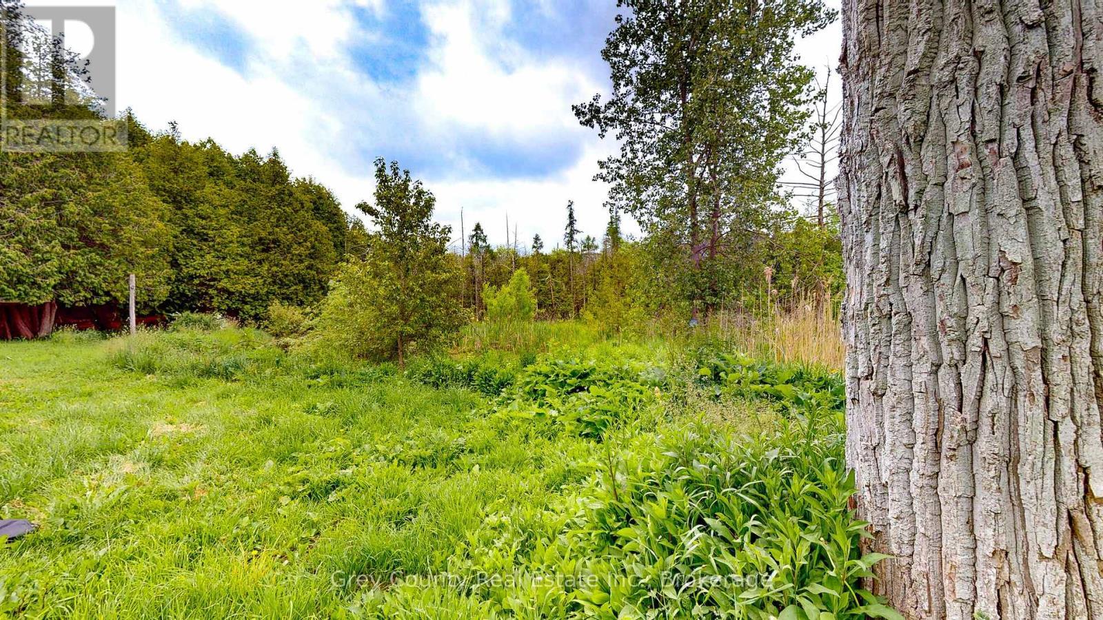 117 Collingwood Street, Grey Highlands, ON - Outdoor