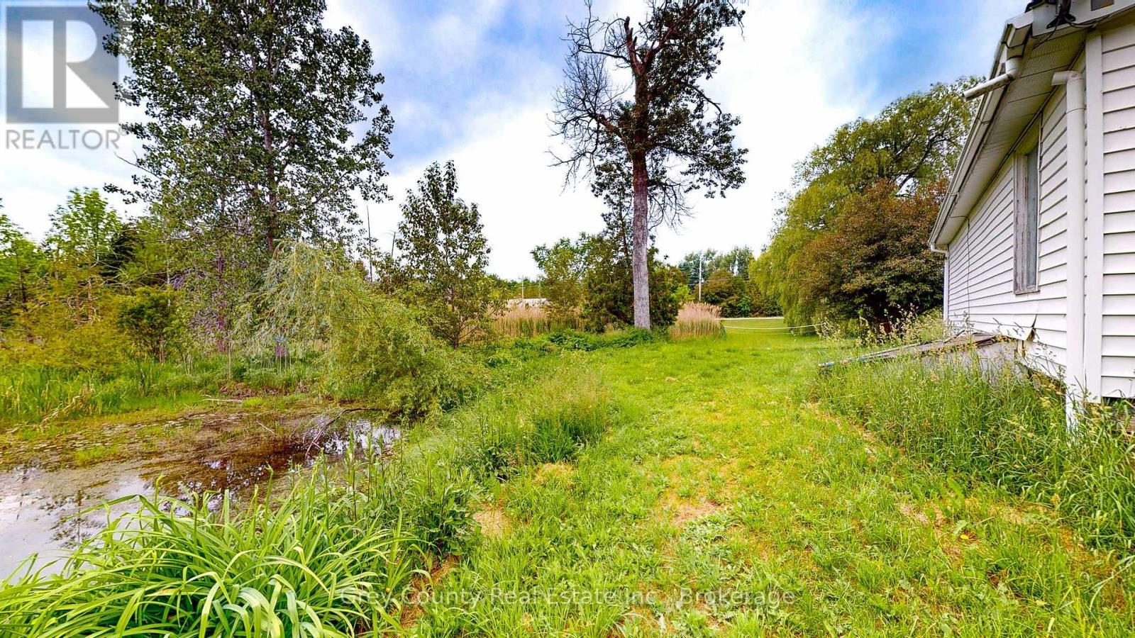 117 Collingwood Street, Grey Highlands, ON - Outdoor