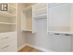 Walk in closet with built in shelves -