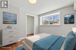 Den/guest room, lower level, virtually staged -