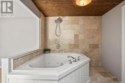 Tub w shower -