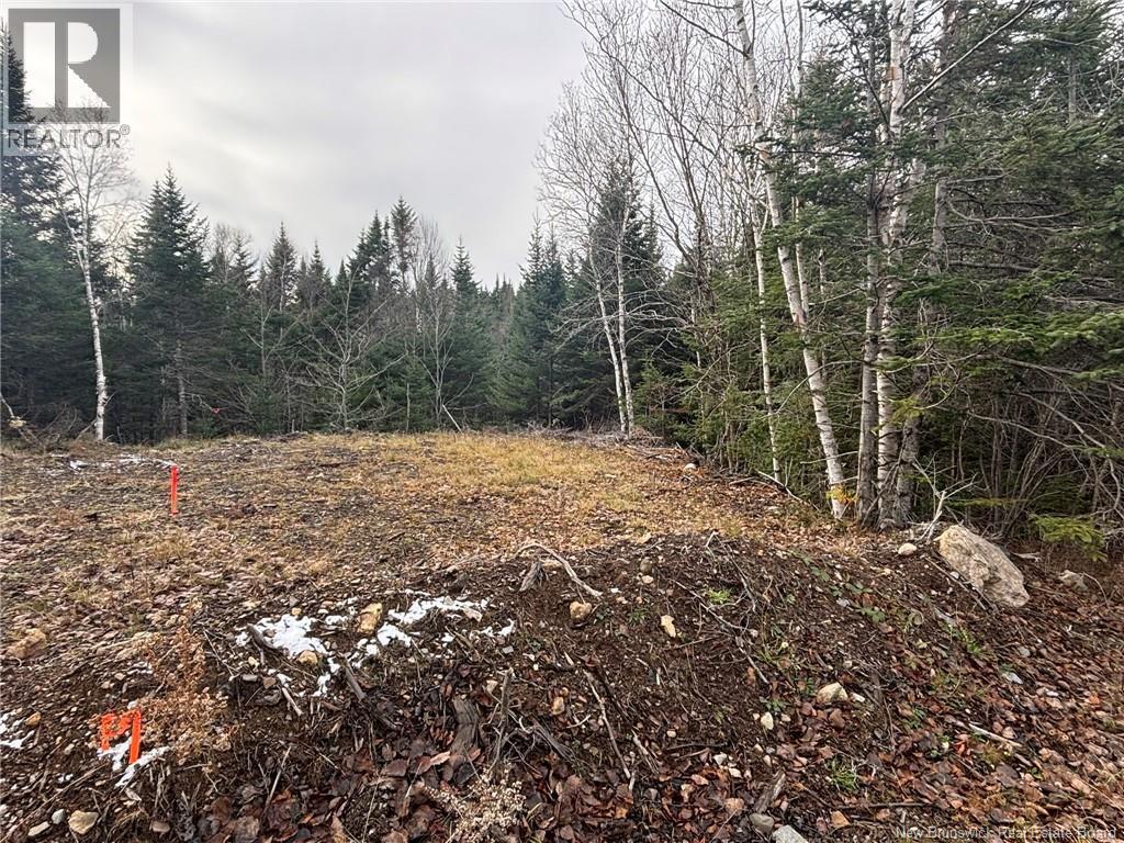 25-3 Spruce Lane, Damascus, NB