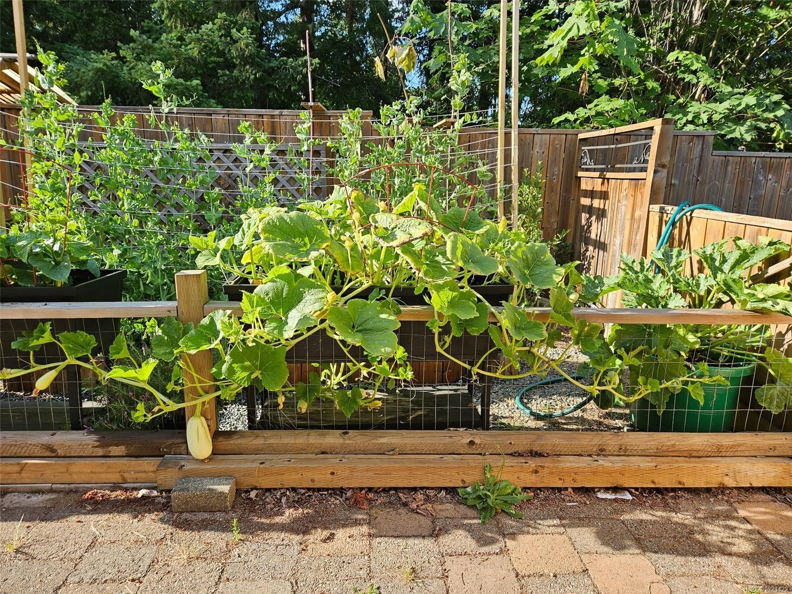 8965 Mclarey Ave, Black Creek, BC