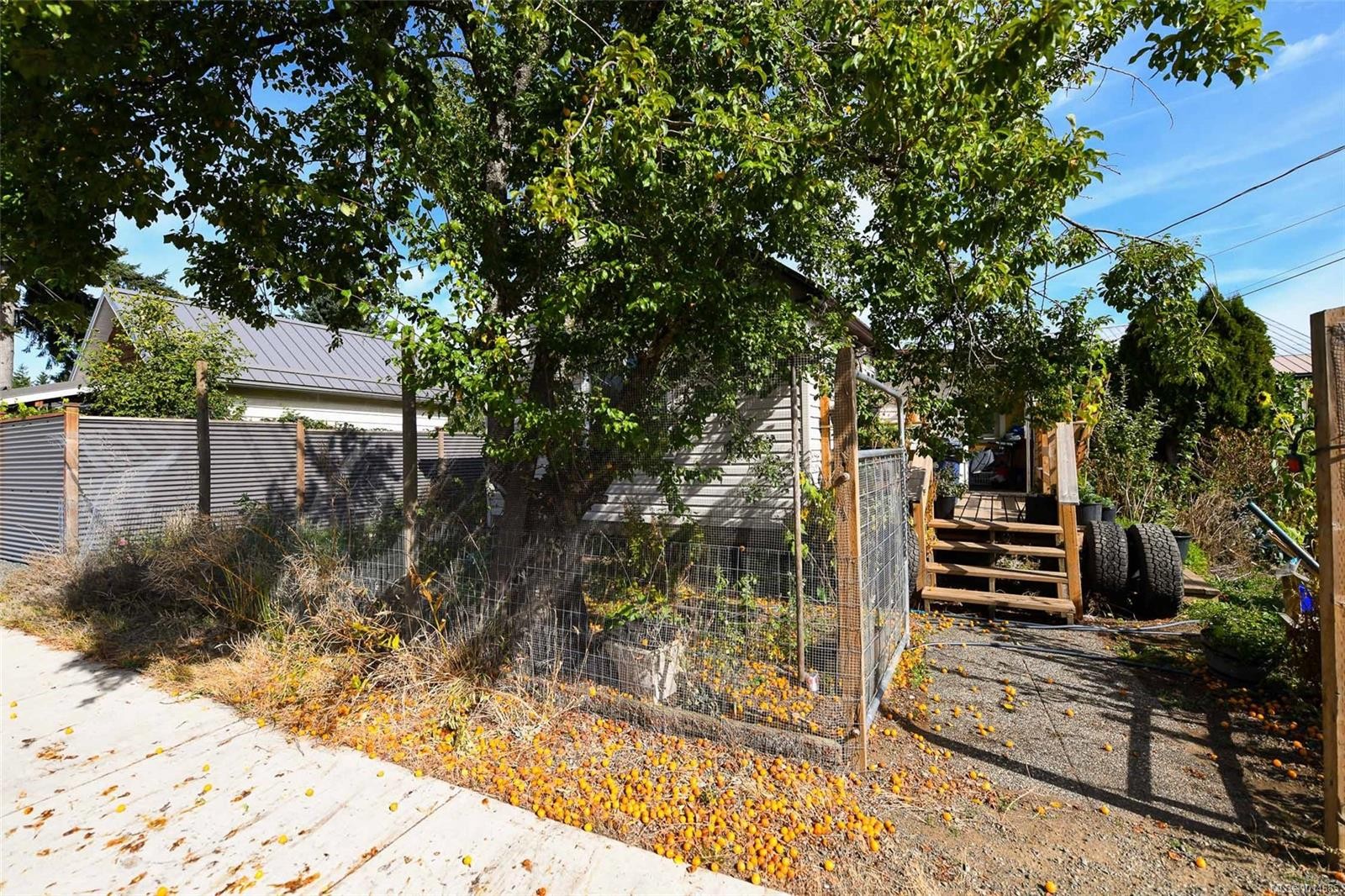 3390 Nikkei Pl, Cumberland, BC