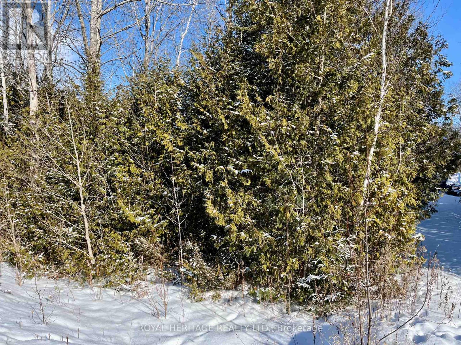 0 Sumcot Drive, Trent Lakes, ON