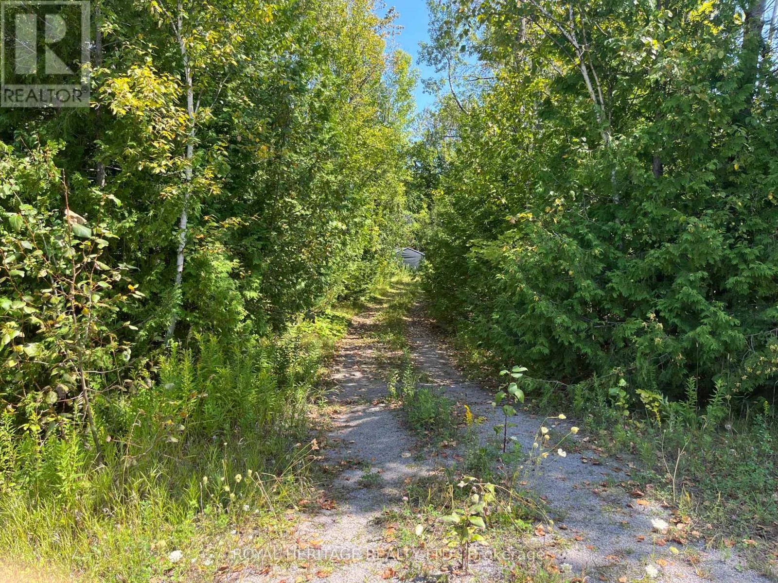 Entrance to vacant land - 0 Sumcot Drive, Trent Lakes, ON