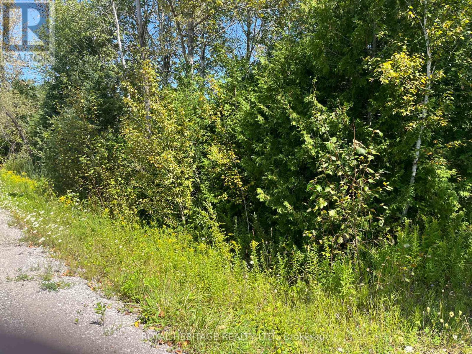 0 Sumcot Drive, Trent Lakes, ON