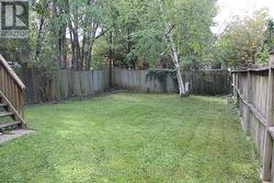 Fenced back yard -