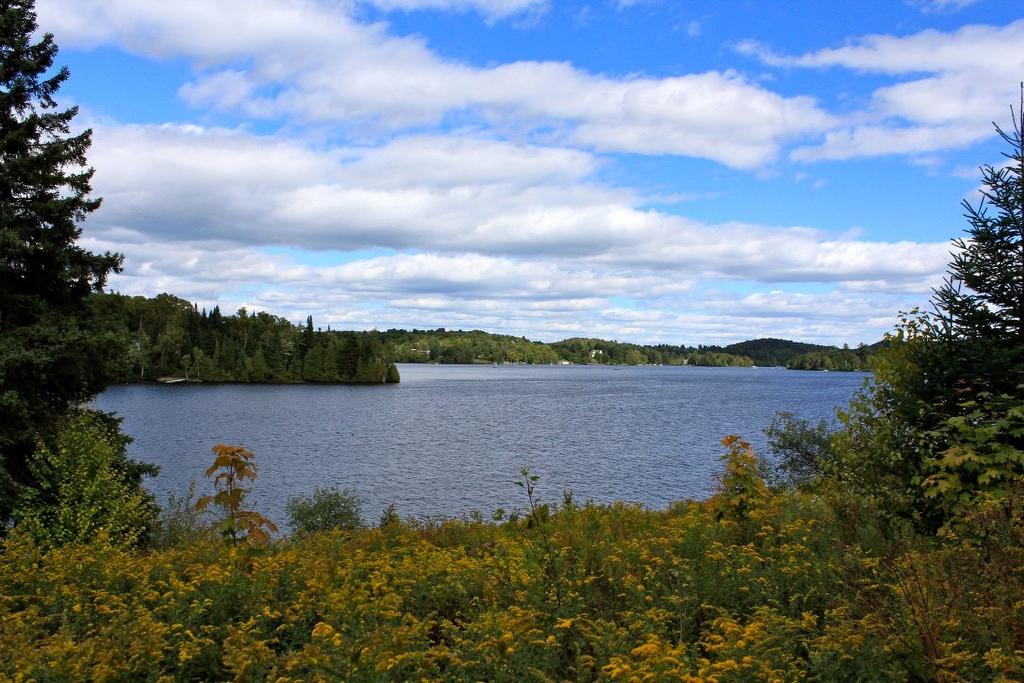 Bord de l'eau - Ch. Du Lac-Des-Sables, Sainte-Agathe-Des-Monts, QC