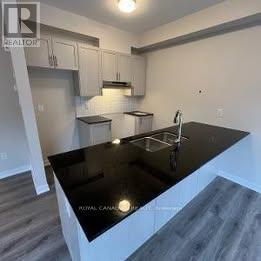 386 Les Emmerson Drive, Ottawa, ON - Indoor Photo Showing Kitchen With Double Sink With Upgraded Kitchen