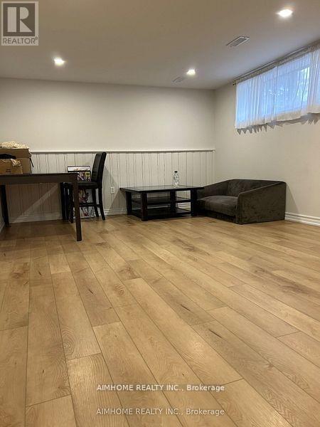 Basement - 382 Sugar Maple Lane, Richmond Hill, ON - Indoor