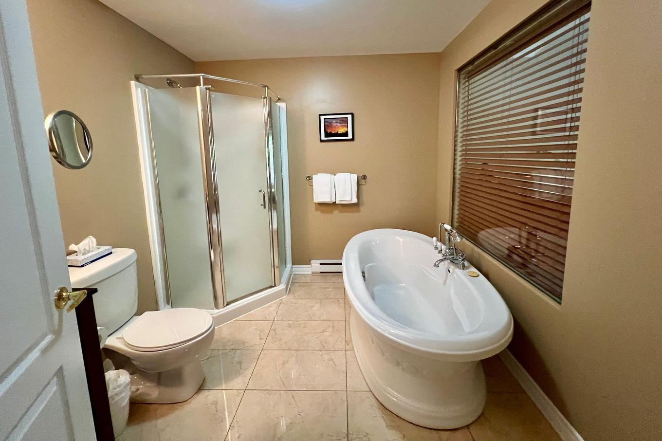 Bathroom - 206-500 Ch. Des Frênes, Piedmont, QC - Indoor Photo Showing Bathroom