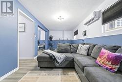 Lower level family room -