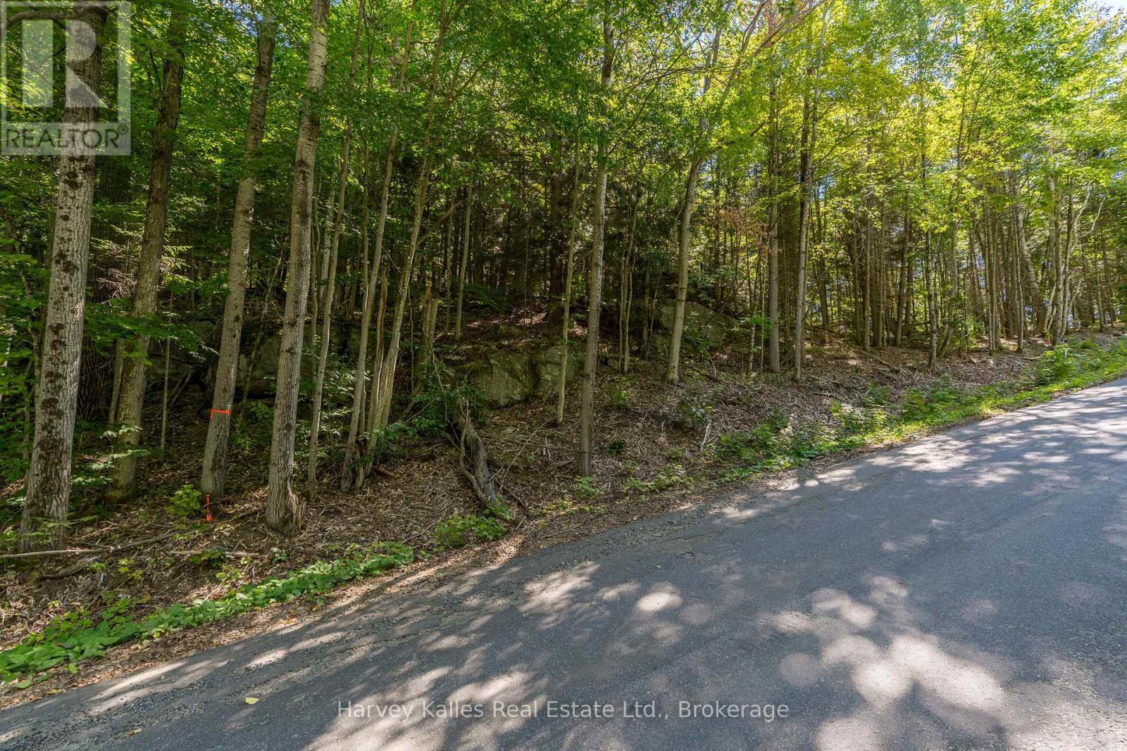 0 East Walker Lake Road, Lake Of Bays (Sinclair), ON