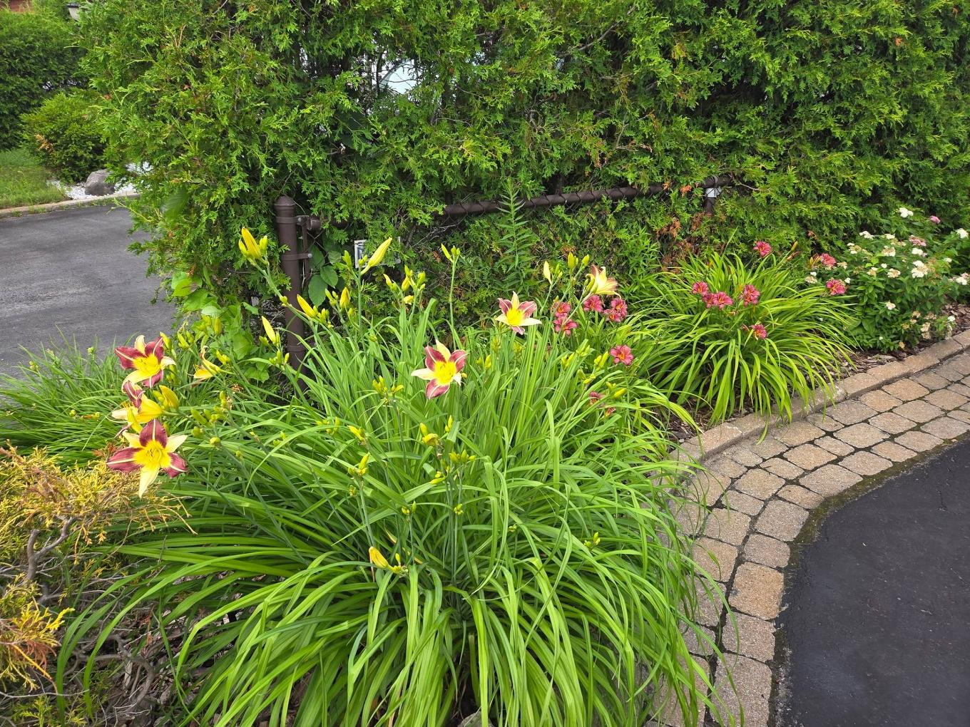 Frontage - 71 - 73 Place Bourdages, Terrebonne (Terrebonne), QC - Outdoor