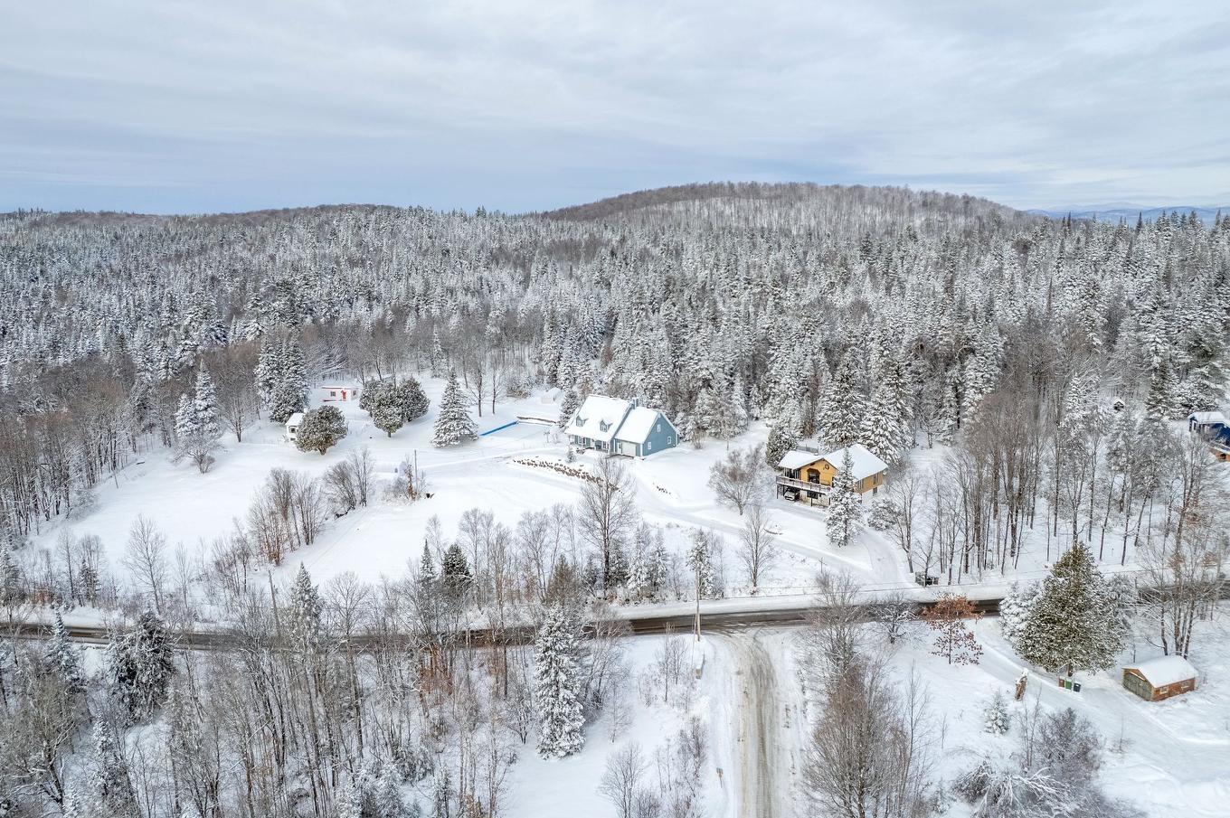 Vue - 2602 Ch. Brunet, Sainte-Agathe-Des-Monts, QC - Outdoor With View