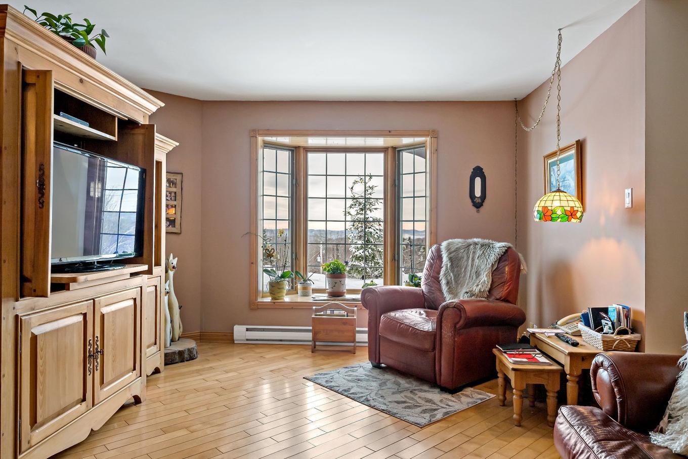 Salon - 2602 Ch. Brunet, Sainte-Agathe-Des-Monts, QC - Indoor Photo Showing Living Room