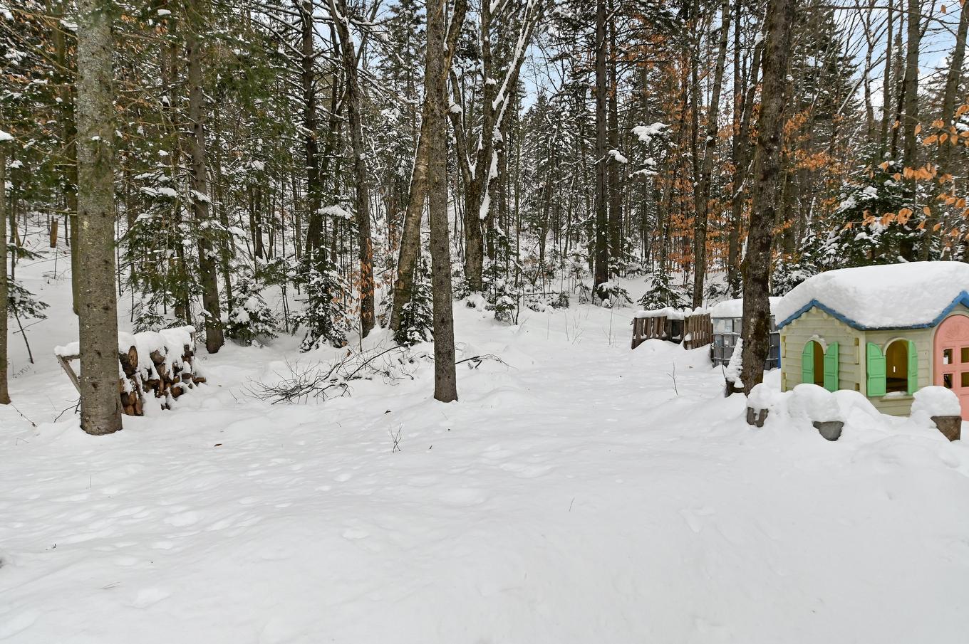 Backyard - 122 Rue Gingras, Fossambault-Sur-Le-Lac, QC - Outdoor