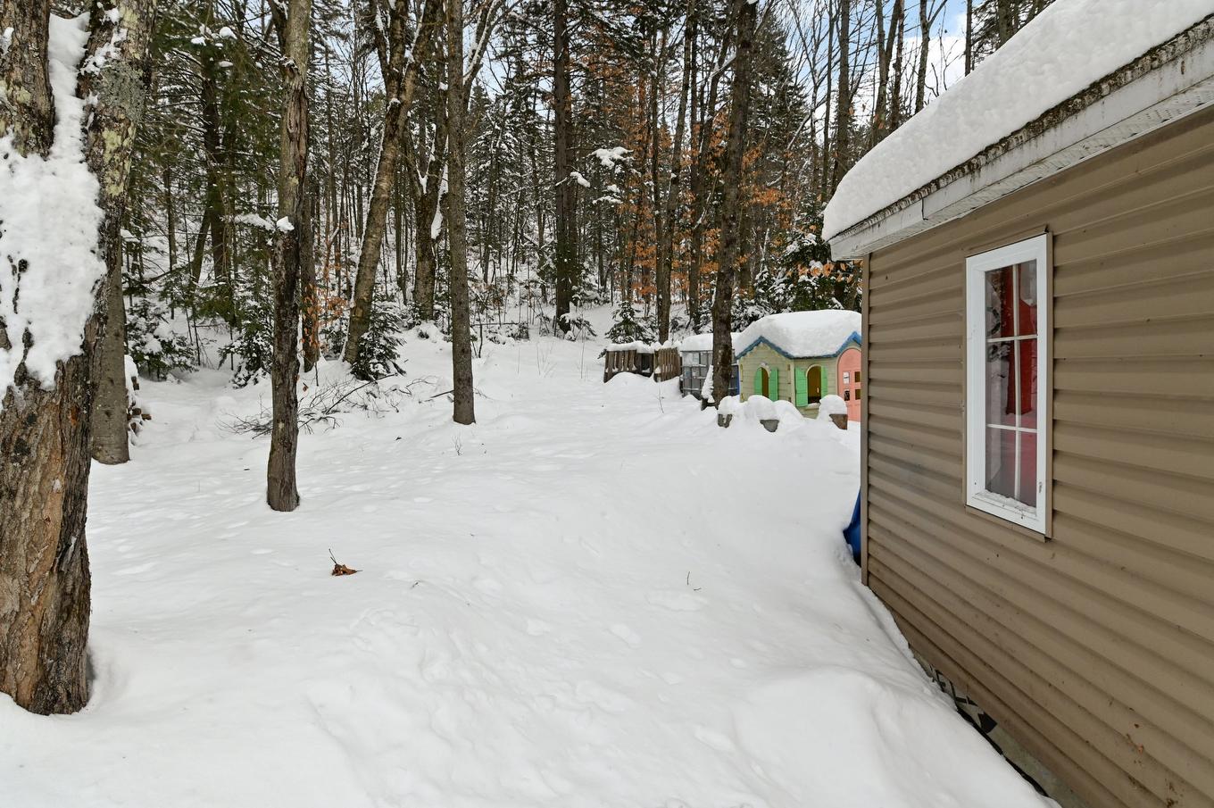 Backyard - 122 Rue Gingras, Fossambault-Sur-Le-Lac, QC - Outdoor