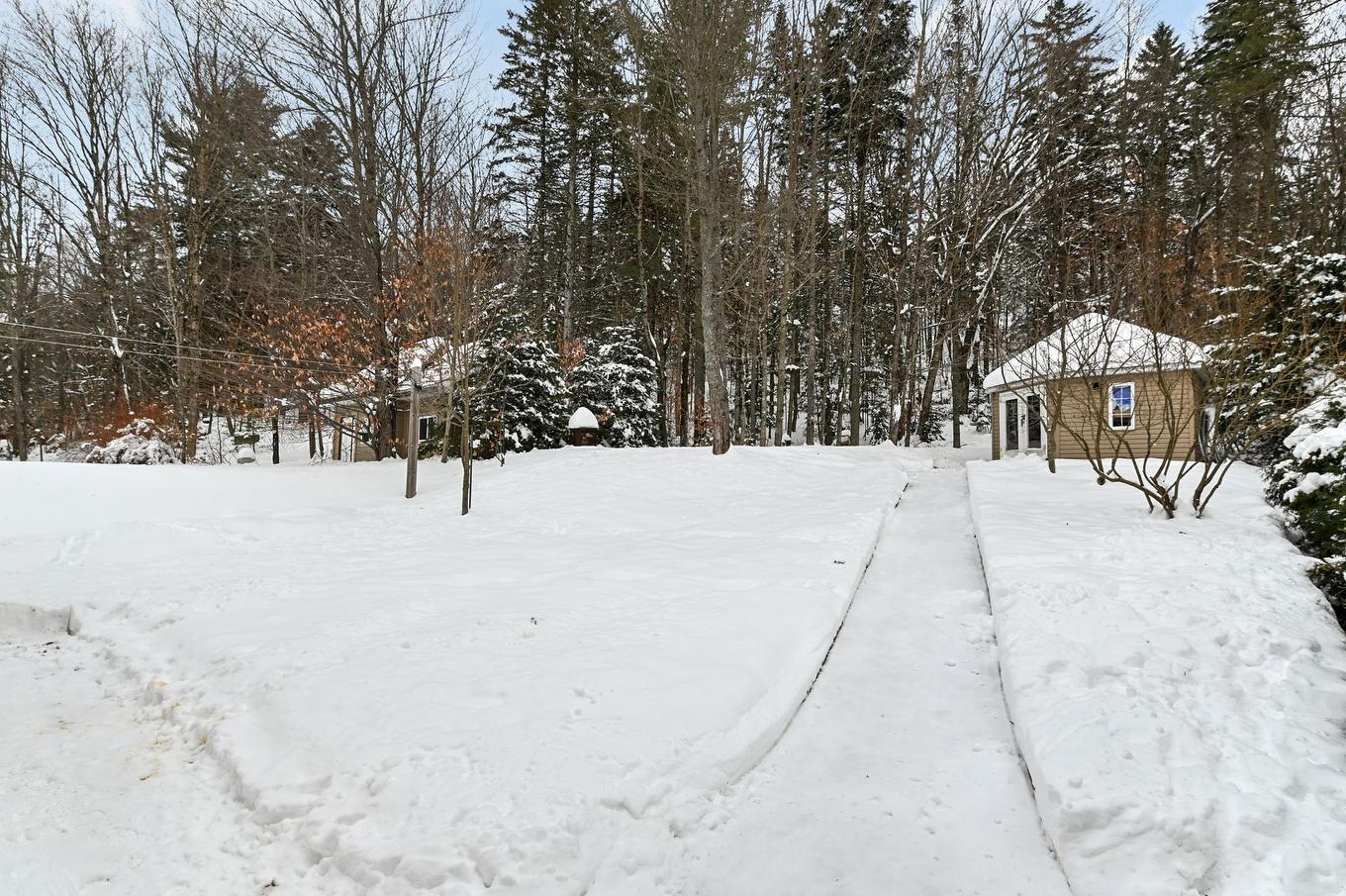 Backyard - 122 Rue Gingras, Fossambault-Sur-Le-Lac, QC - Outdoor