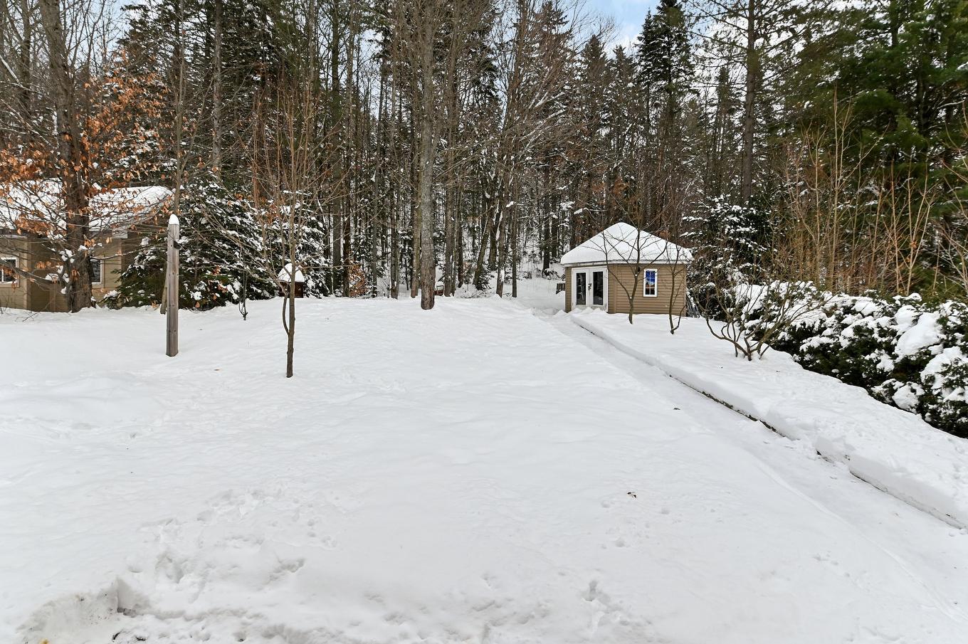 Backyard - 122 Rue Gingras, Fossambault-Sur-Le-Lac, QC - Outdoor