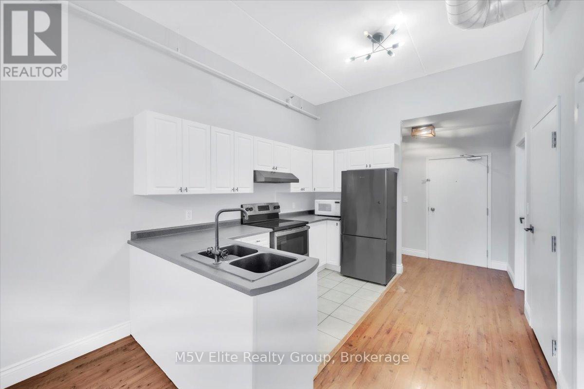302 - 150 Colborne Street, Brantford, ON - Indoor Photo Showing Kitchen With Double Sink