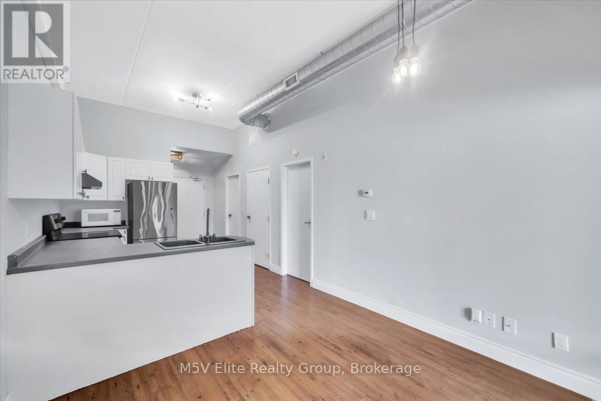 302 - 150 Colborne Street, Brantford, ON - Indoor