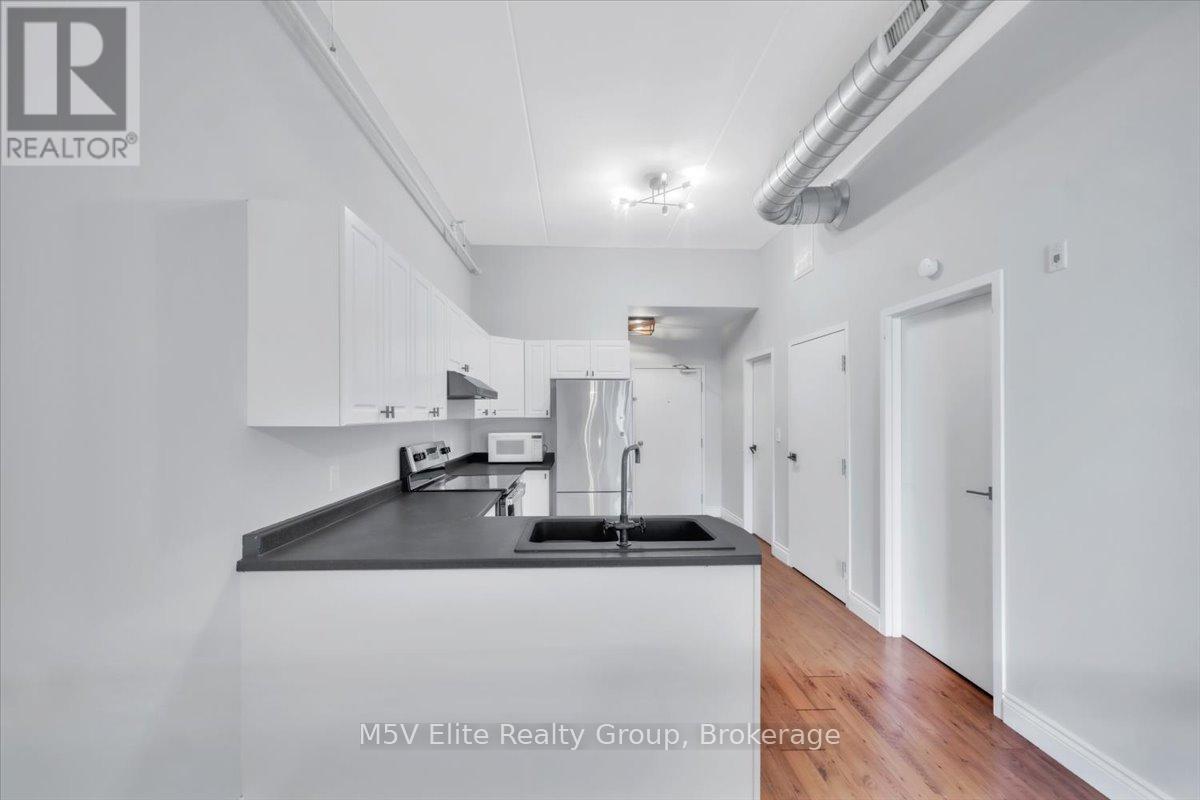 302 - 150 Colborne Street, Brantford, ON - Indoor Photo Showing Kitchen