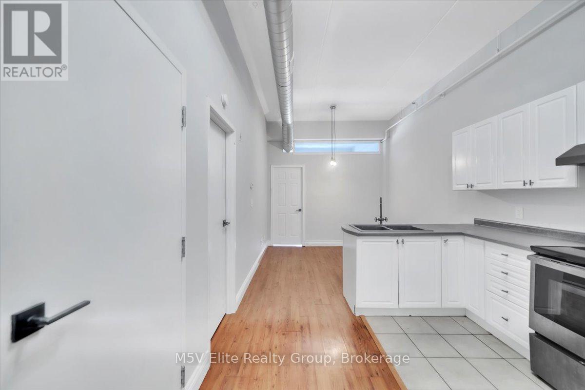 302 - 150 Colborne Street, Brantford, ON - Indoor Photo Showing Kitchen With Double Sink