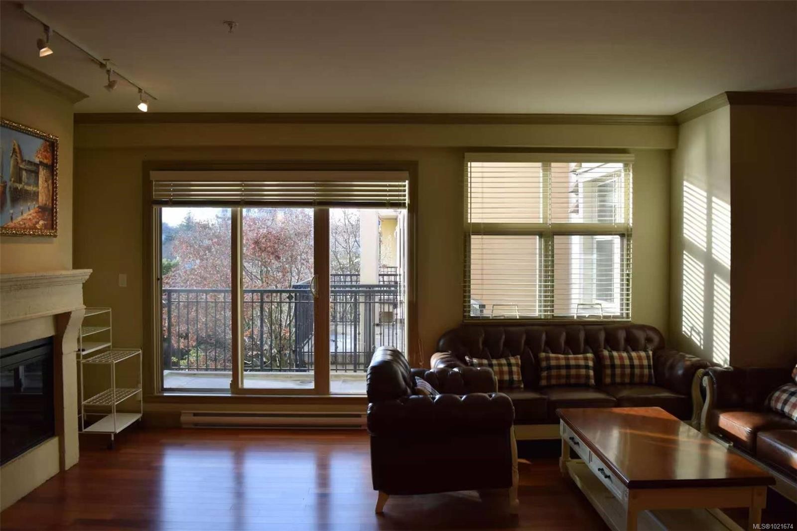 309-1620 Mckenzie Ave, Saanich, BC - Indoor Photo Showing Living Room With Fireplace