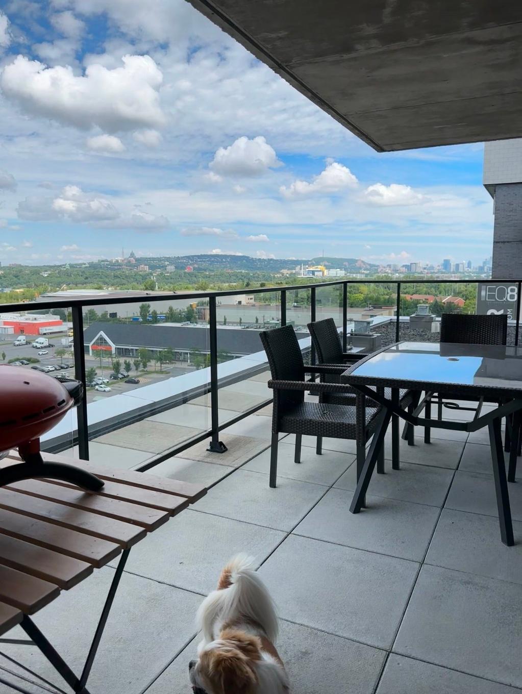 Terrasse - 1108-6900 Boul. Newman, Montréal (Lasalle), QC - Outdoor With View With Exterior