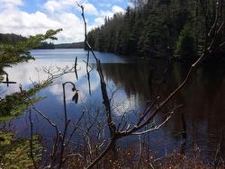 409 Highway 224 Sheet Harbour, NS B0J 3B0