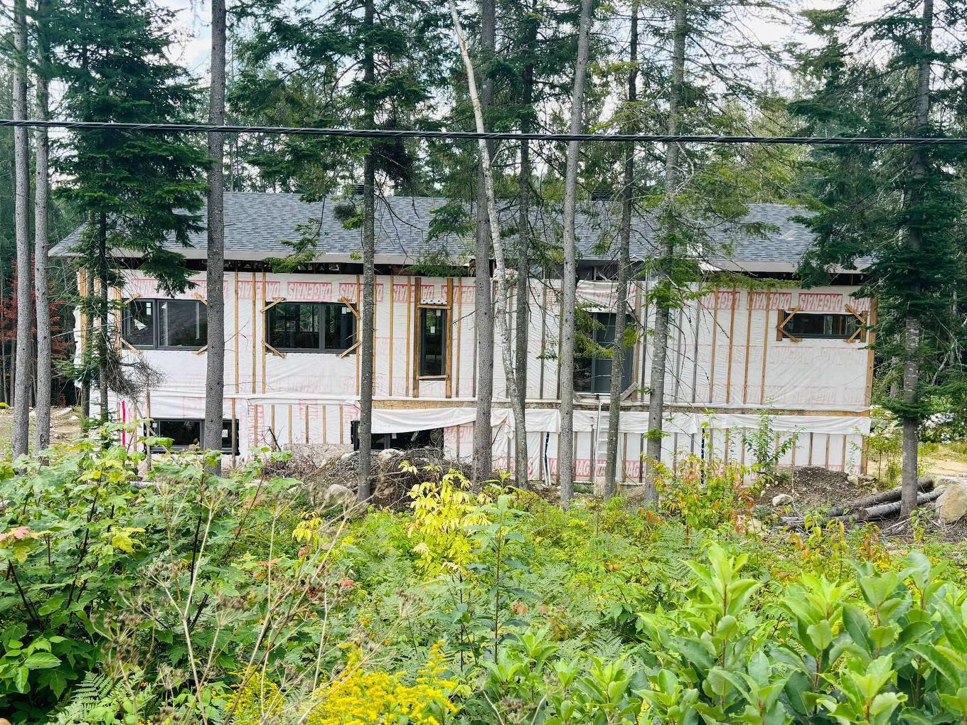 To be built - 1750 Ch. Du 1Er-Rang, Sainte-Lucie-Des-Laurentides, QC - Outdoor