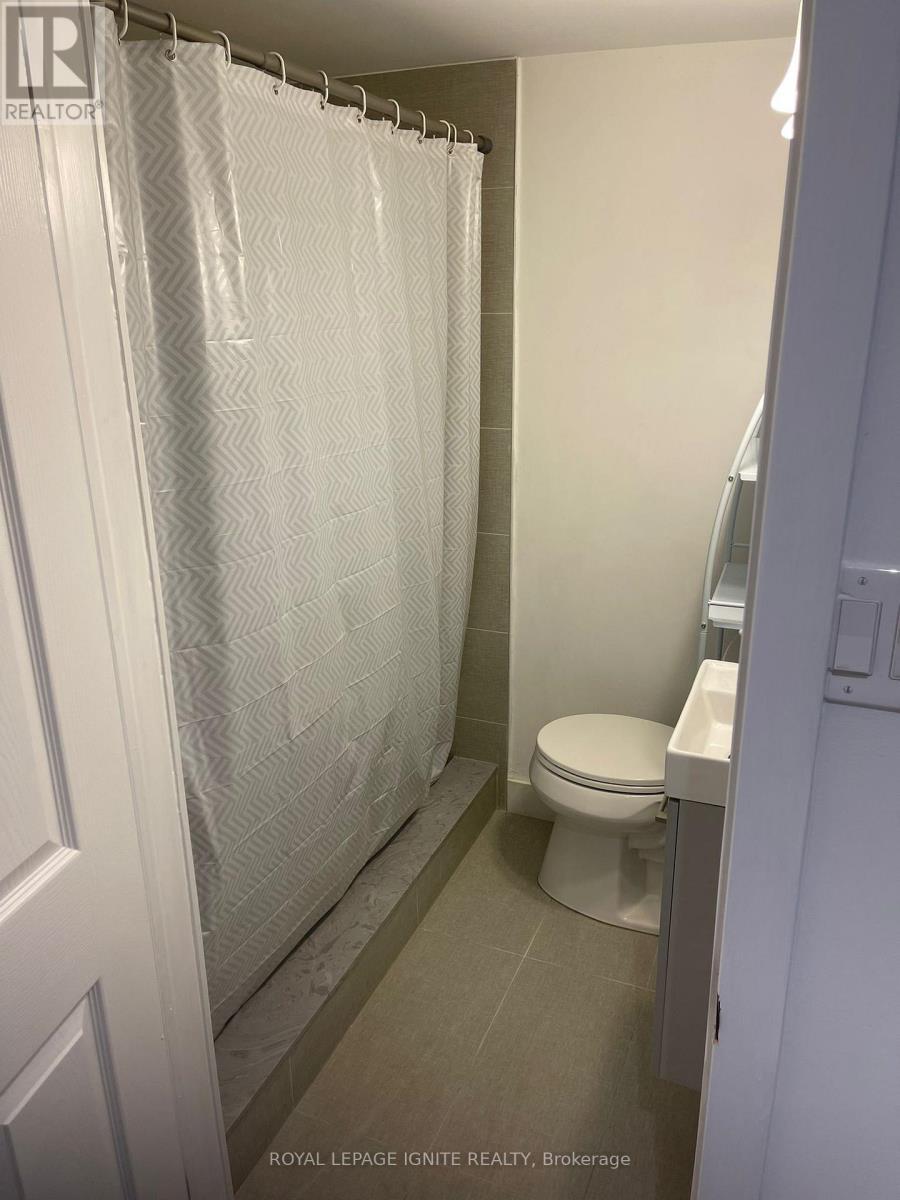 Bsmt - 102 Westcroft Drive, Toronto, ON - Indoor Photo Showing Bathroom