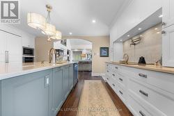 Pot filler, downdraft range hood -