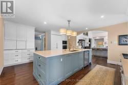 Butler's pantry and garage access -